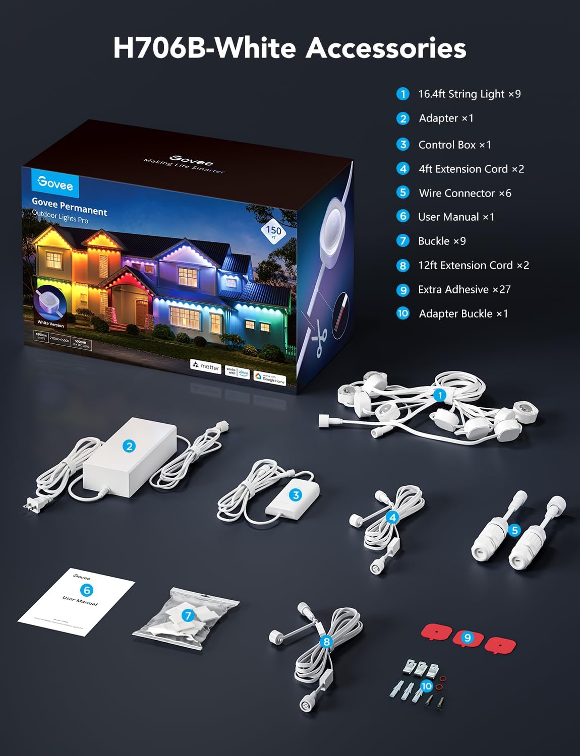 permanent Outdoor LED Lights