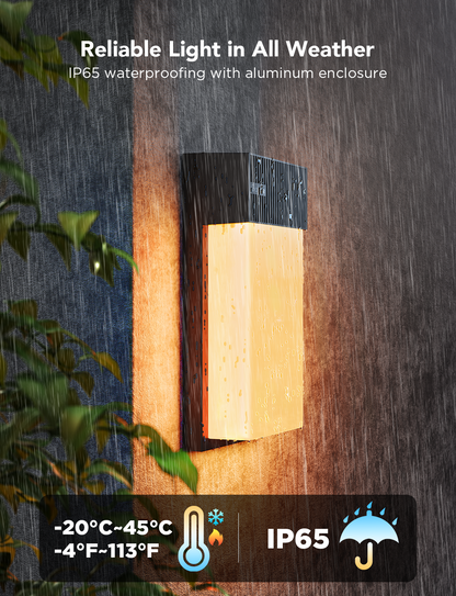 【Business Only】Govee Outdoor Wall Light