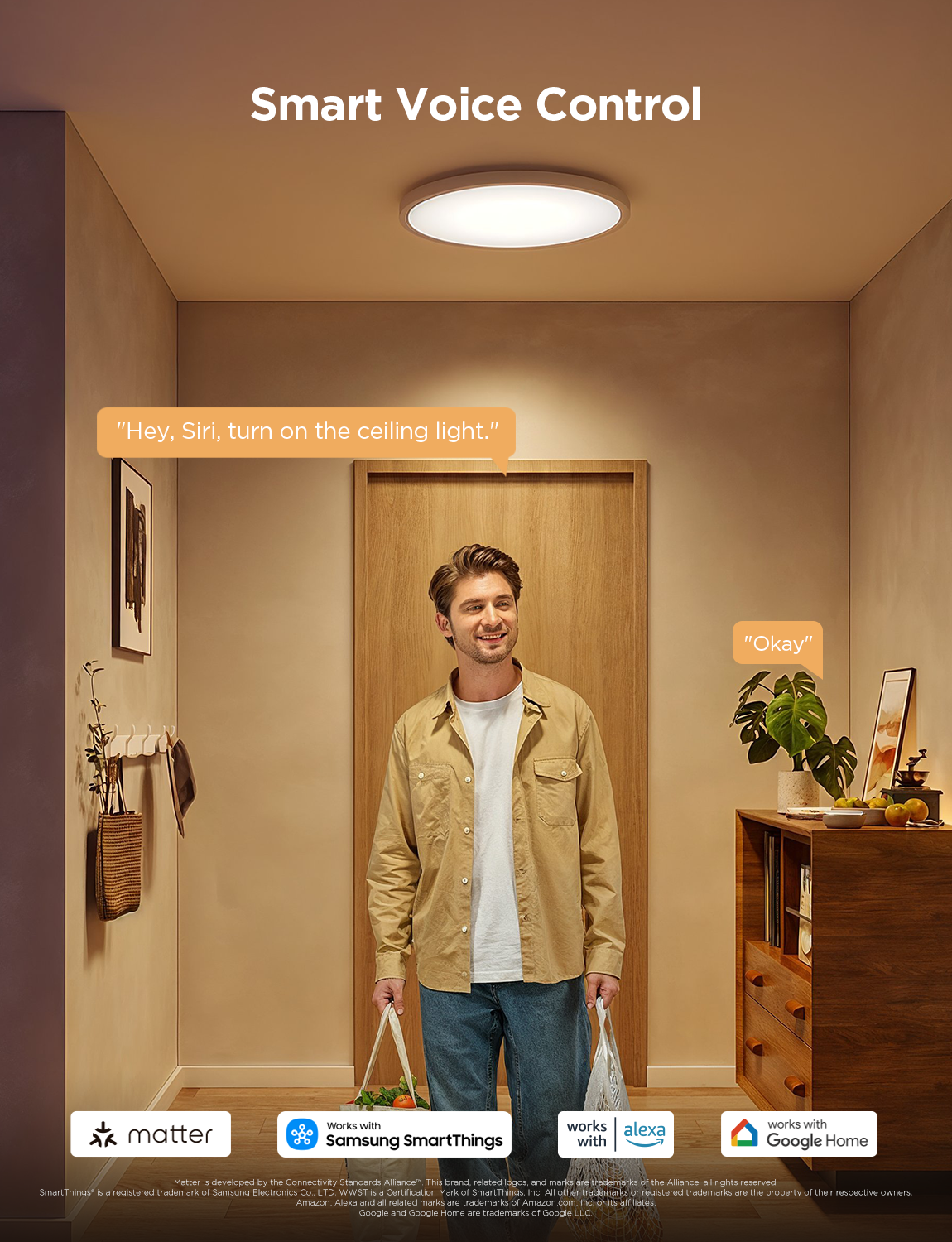 【Business Only】Govee 12-Inch RGBWW + RGBIC Smart Ceiling Light
