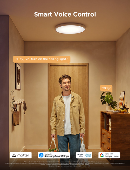 【Business Only】Govee 12-Inch RGBWW + RGBIC Smart Ceiling Light