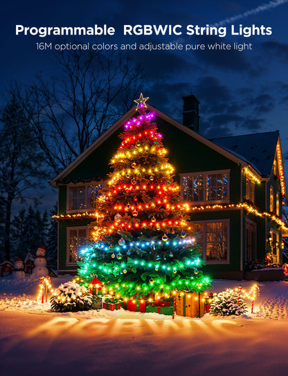 Govee Christmas String Lights 2