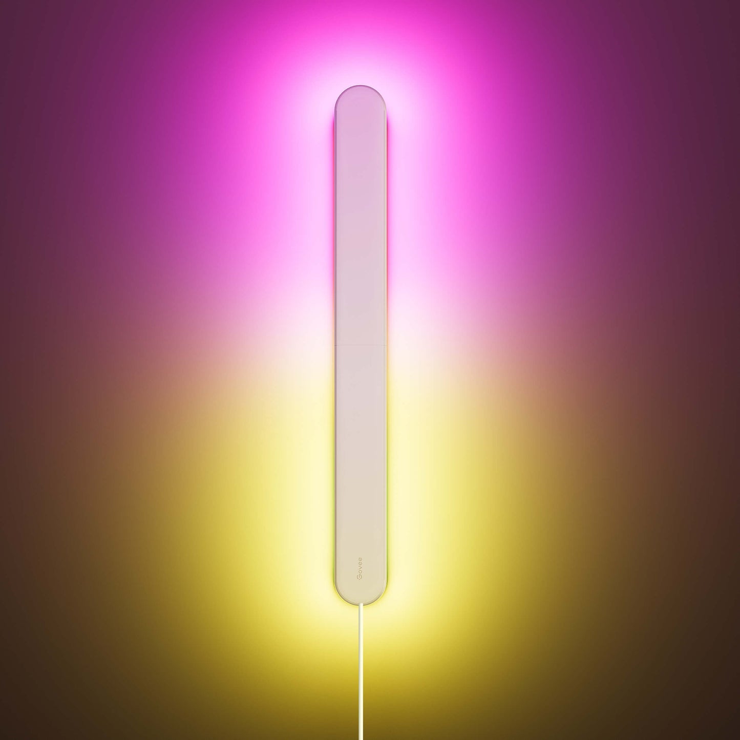 【Business Only】Govee Wall Sconce
