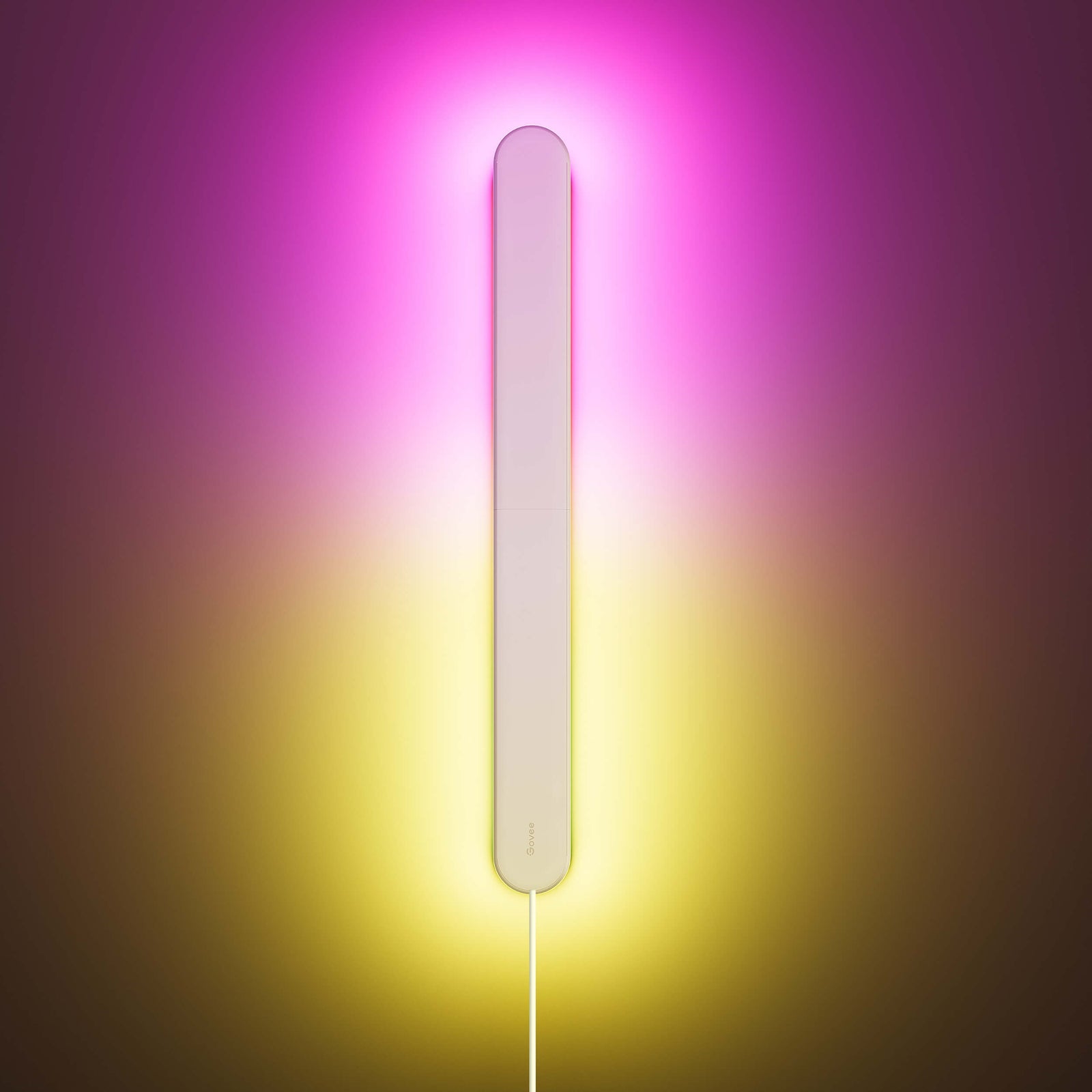 【Business Only】Govee Wall Sconce