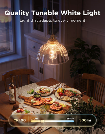 Govee ST19 Smart Edison Light Bulb E26 500lm
