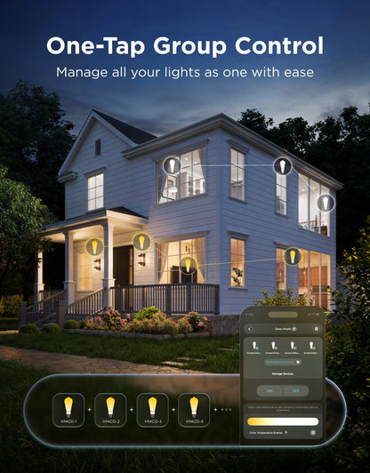 【Business Only】Govee ST19 Smart Edison Light Bulb E26 500lm