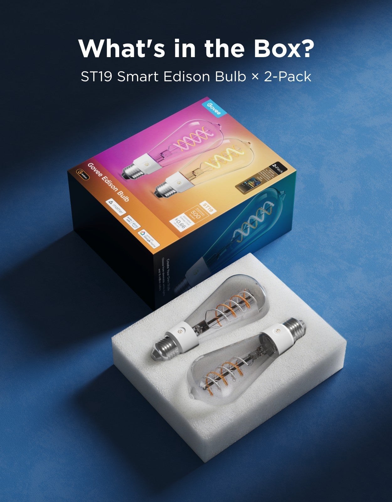 【Business Only】Govee ST19 Smart Edison Light Bulb E26 500lm
