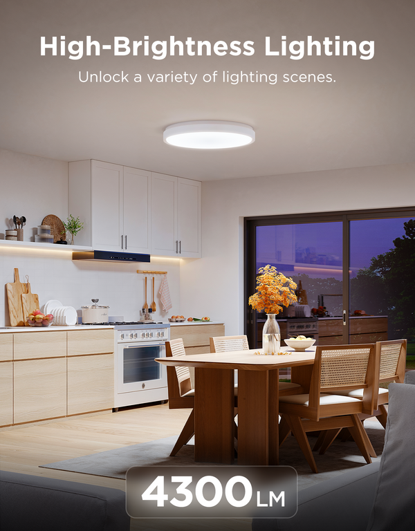 【Business Only】Govee 15-Inch RGBICWW Smart Ceiling Light Pro