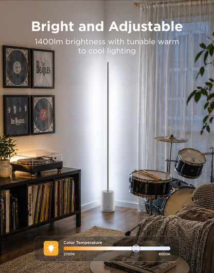 Govee Floor Lamp 3 Lite