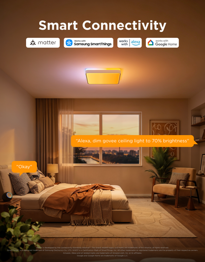 【Business Only】Govee 18-Inch Ceiling Light Pro