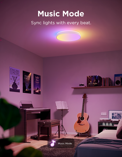 【Business Only】Govee 15-Inch RGBICWW Smart Ceiling Light Pro