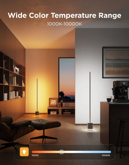 【Business Only】Govee Floor Lamp 3