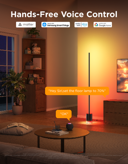 [Super Sale] Govee Floor Lamp 2