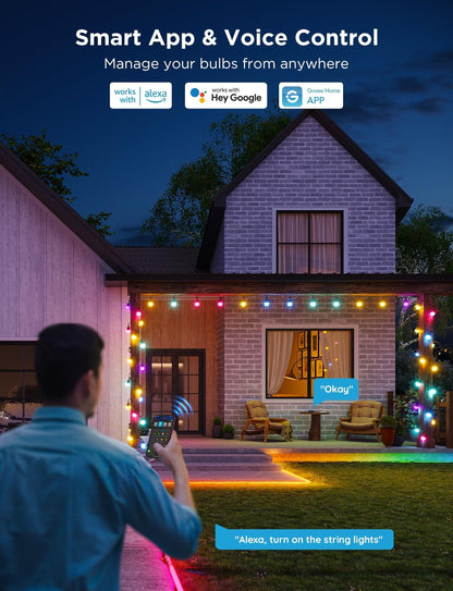 【Business Only】Govee Outdoor String Lights 2