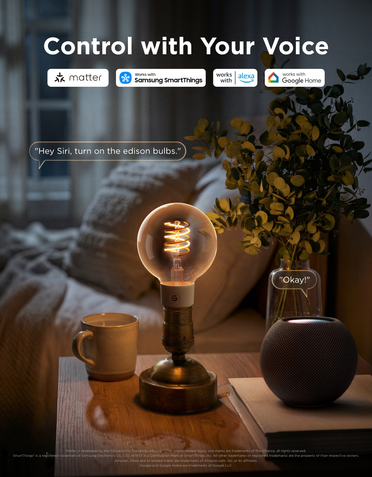 Govee G25 Smart Edison Light Bulb E26 500lm