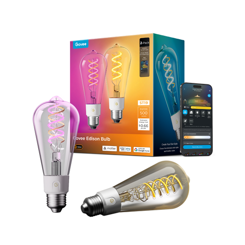 Govee ST19 Smart Edison Light Bulb E26 500lm