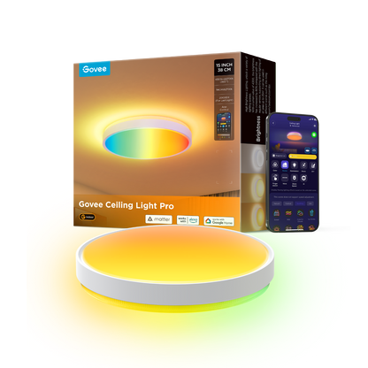 【Business Only】Govee 15-Inch RGBICWW Smart Ceiling Light Pro