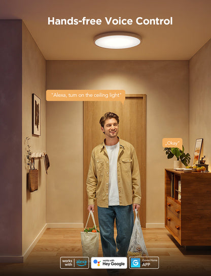 Refurbished Govee 12-Inch RGBWW + RGBIC Smart Ceiling Light