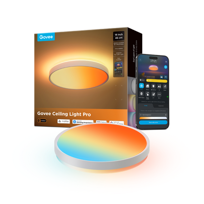 Govee 18-Inch Ceiling Light Pro