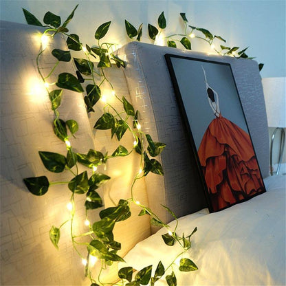 Green Dill LED String Lights