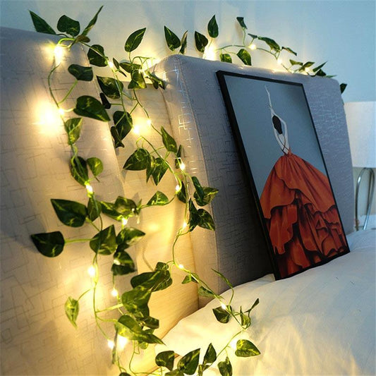 Green Dill LED String Lights