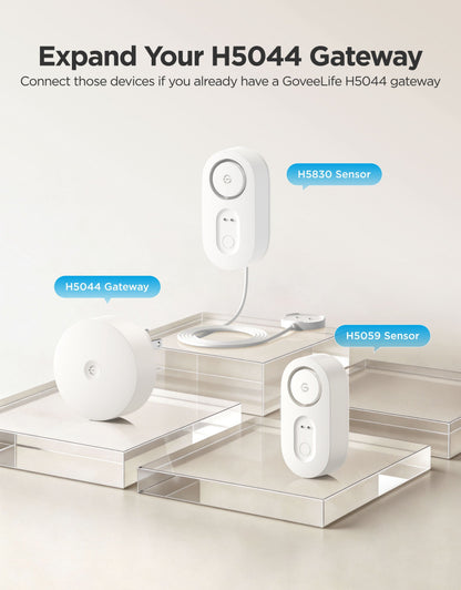 GoveeLife Water Leak Detector 1s With Sensor Cable