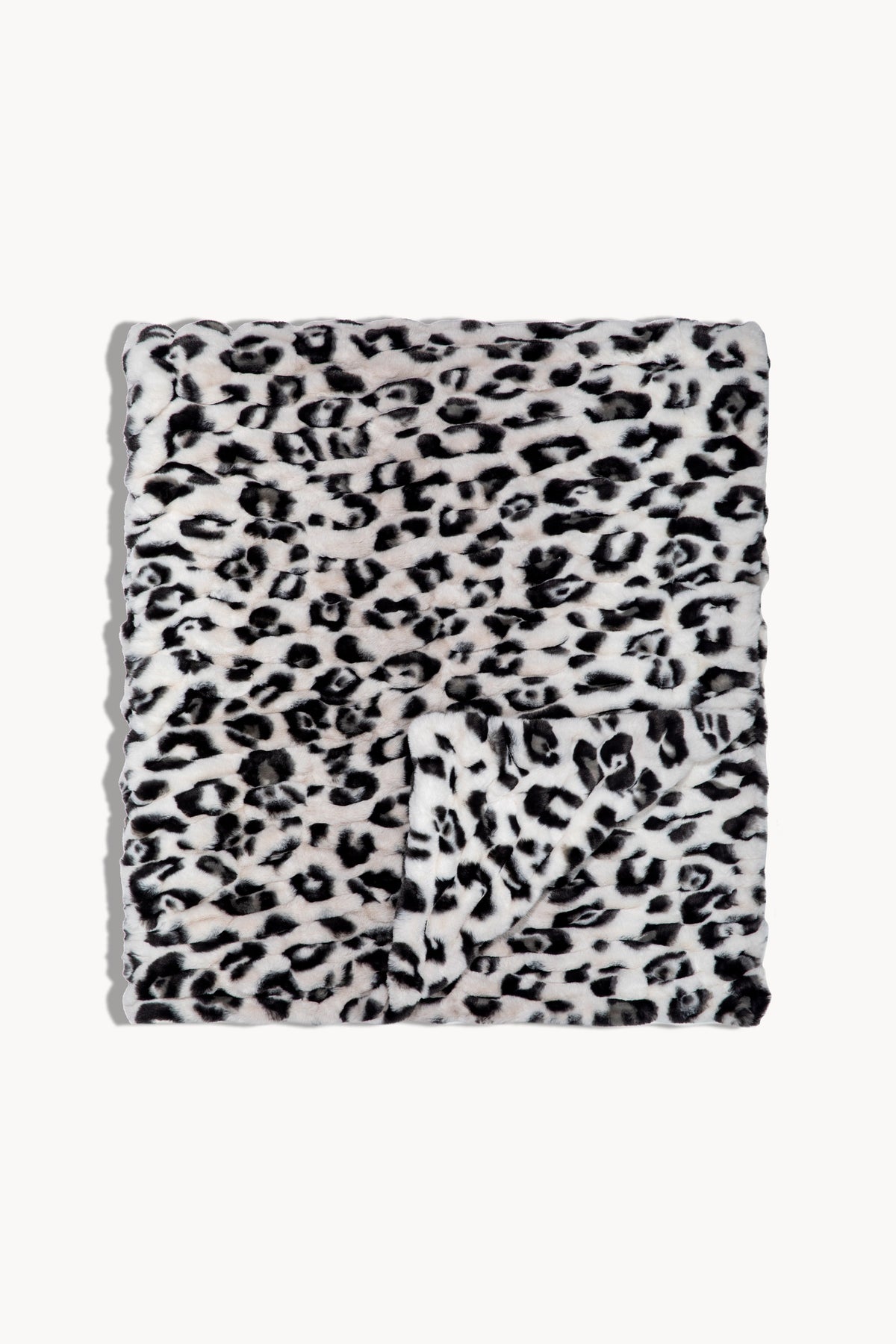 Snow Leopard