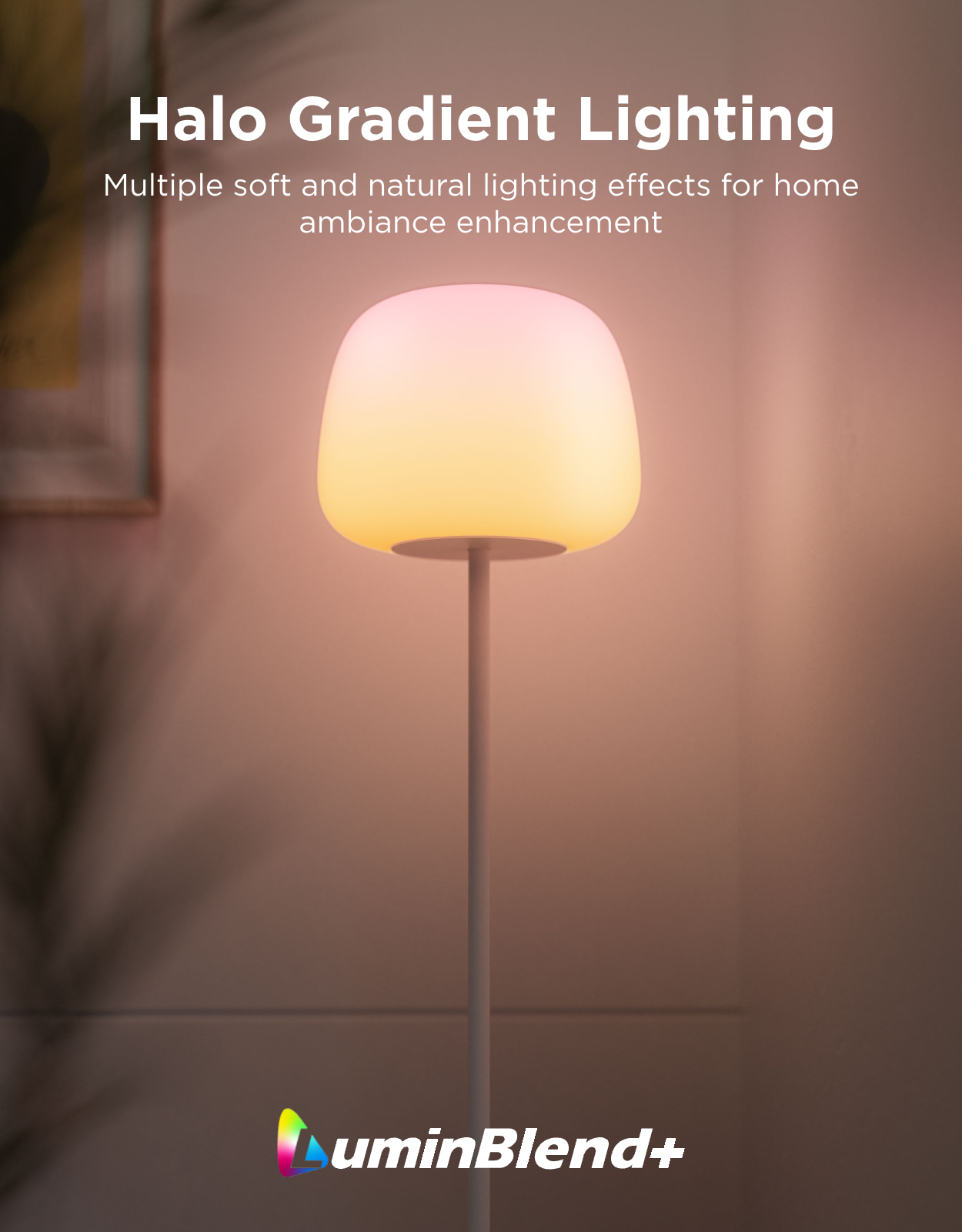 【Business Only】Govee Lantern Floor Lamp