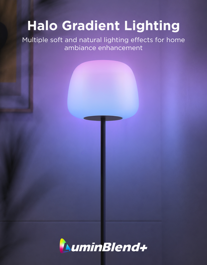 【Business Only】Govee Lantern Floor Lamp
