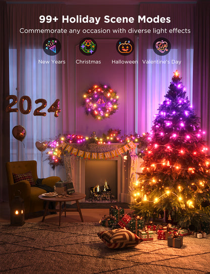 Refurbished  Govee Christmas String Lights