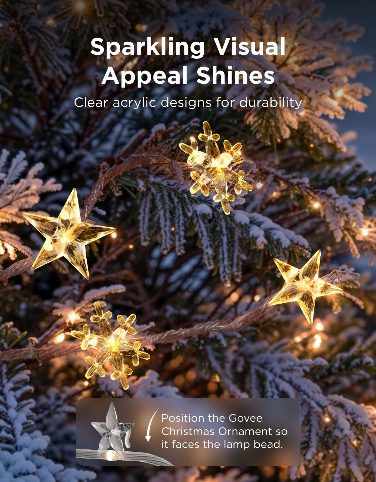 【Business Only】Govee Christmas String Lights 2