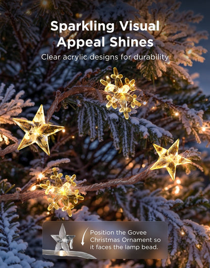 【Business Only】Govee Christmas String Lights 2