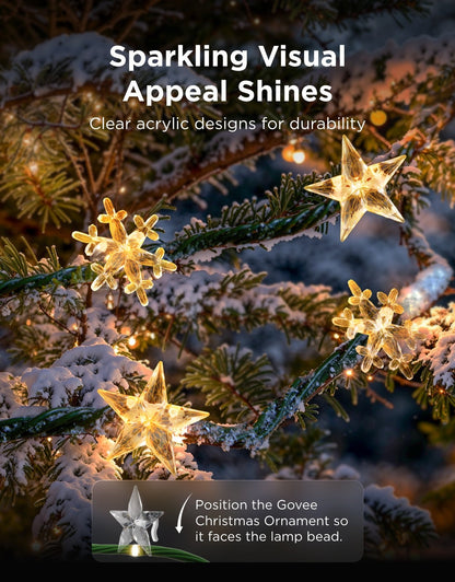 【Business Only】Govee Christmas String Lights 2
