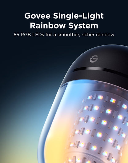【Business Only】Govee Outdoor Chromatic String Lights