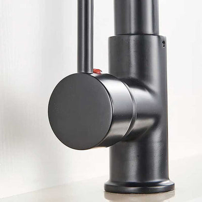 Gourmet Kitchen Faucet – Premium Black Fosca