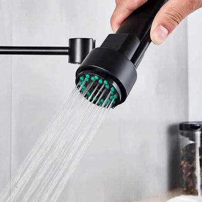 Gourmet Kitchen Faucet – Premium Black Fosca