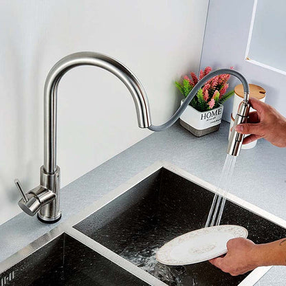 Gourmet Kitchen Faucet – Slim Brushed Nickel