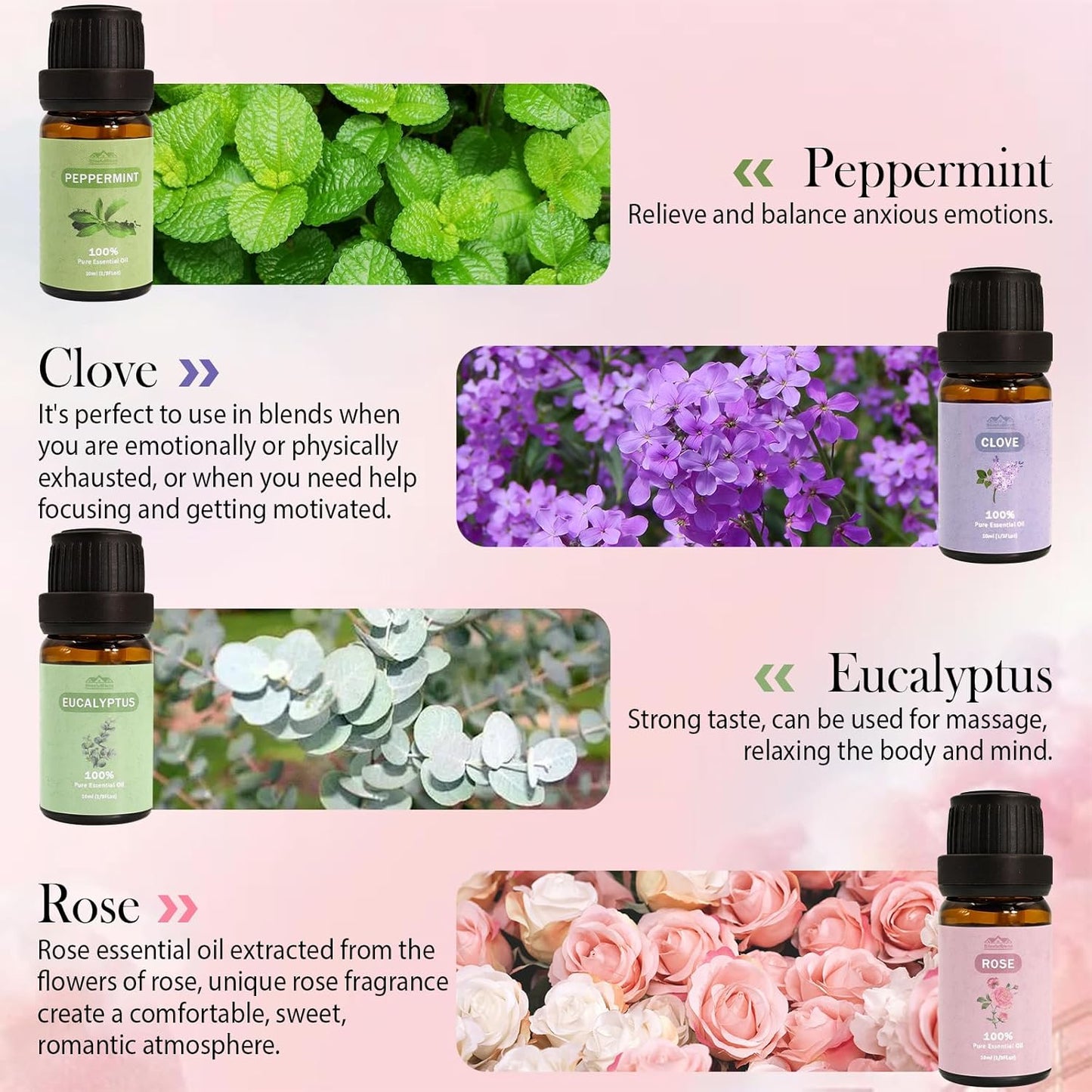 Blissful Scents Aromatherapy Set