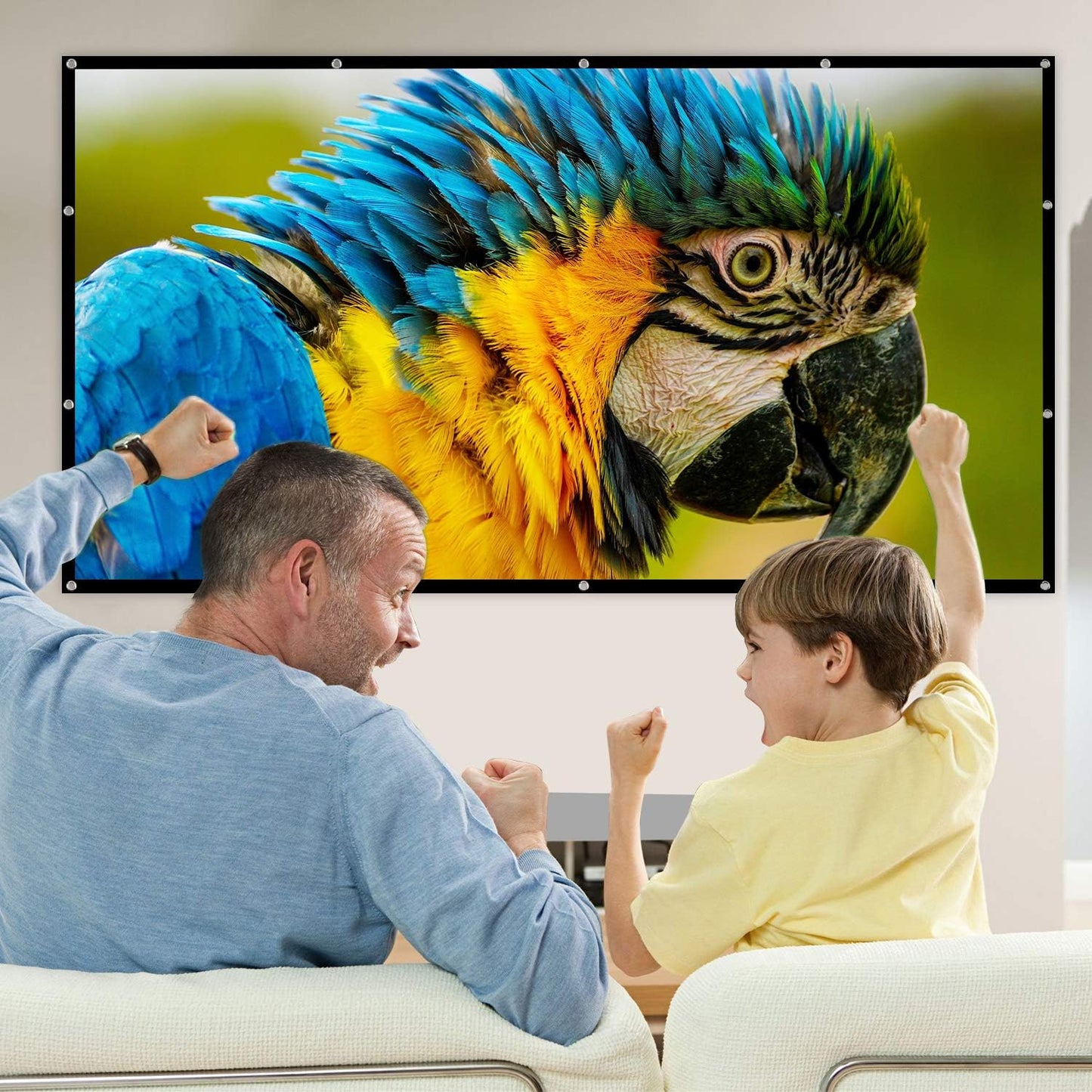 Foldable Home Theater Screen
