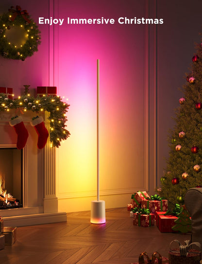 【Business Only】Govee Floor Lamp 2