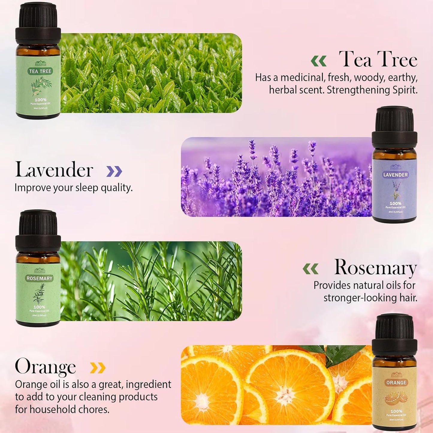 Blissful Scents Aromatherapy Set